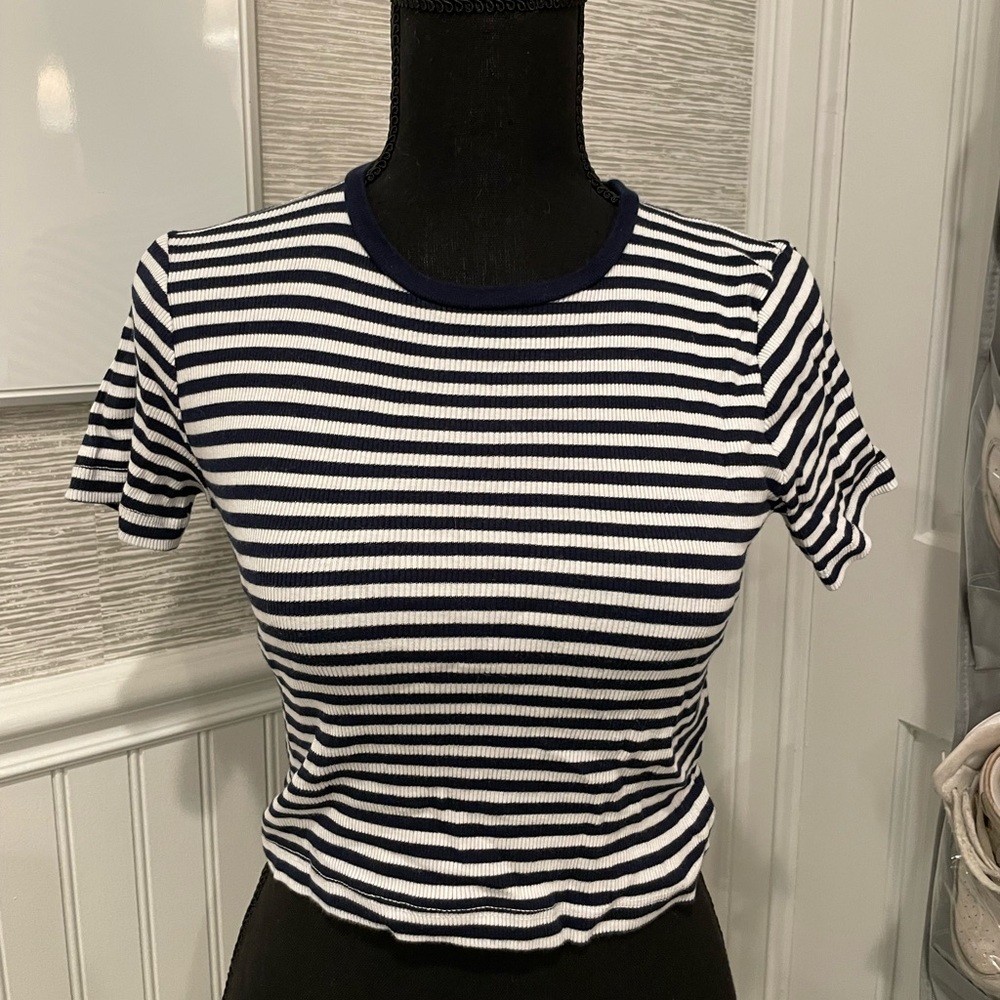 Brandy Melville striped crop top